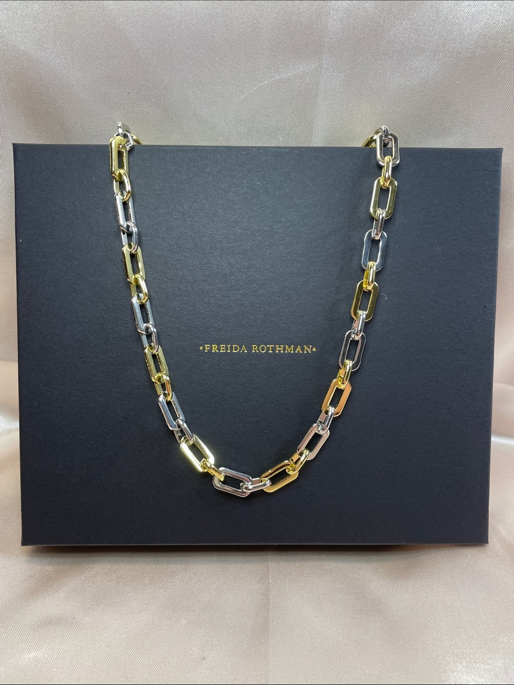 Freida Rothman Vault Brass Base Two-Tone Chain Link Necklace 17" NWT $125 MSRP